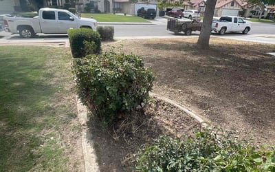 Photo of Annur S.'s yard after getting landscaping in Delano, CA