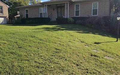 Photo of Shannon C.'s yard after getting landscaping in Sellersburg, IN