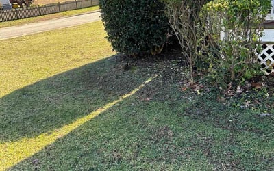 Photo of Mary M.'s yard after getting tree care in Disputanta, VA