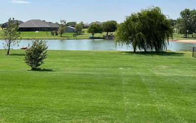 Photo of John R.'s yard after getting lawn care in Blanchard, OK