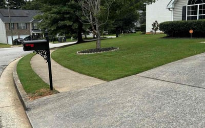 Photo of Erica Y.'s yard after getting lawn care in Hiram, GA