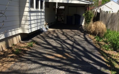 Photo of Christopher M.'s yard after getting tree care in Bloomington, IN
