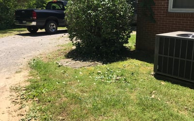 Photo of Joe M.'s yard after getting landscaping in Springfield, TN