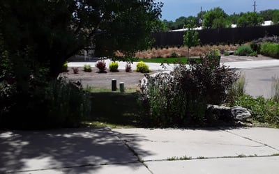 Photo of Donna M.'s yard after getting landscaping in Larkspur, CO