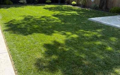 Photo of Michelle M.'s yard after getting landscaping in Kannapolis, NC