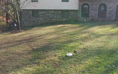 Photo of Francine W.'s yard after getting landscaping in Sunny Side, GA