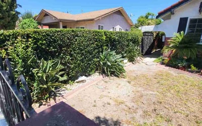 Photo of Monique A.'s yard after getting tree care in Los Angeles, CA