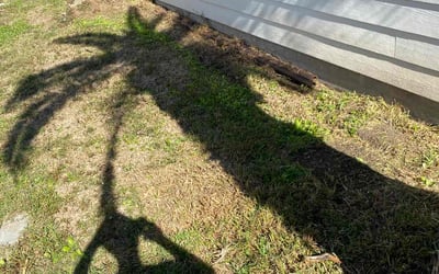 Photo of Jessica L.'s yard after getting landscaping in Cat Spring, TX