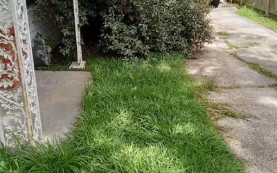 Photo of Brandon M.'s yard after getting landscaping in Danbury, TX
