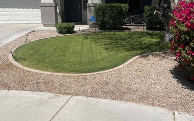 Photo of Deborah S.'s yard after getting lawn care in Queen Creek, AZ