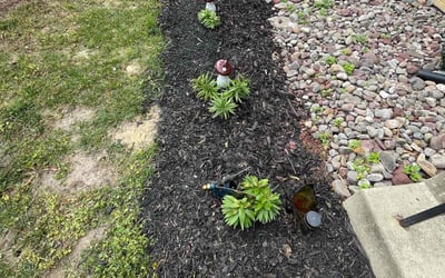 Photo of Vicki-Lynn H.'s yard after getting tree care in Oxon Hill, MD