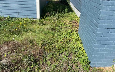 Photo of Austin S.'s yard after getting landscaping in Roy, WA
