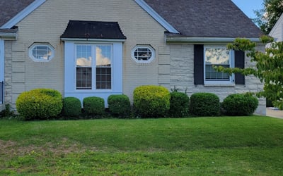 Photo of Doug S.'s yard after getting landscaping in Shelbyville, KY