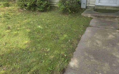 Photo of Angela H.'s yard after getting landscaping in Bowie, MD
