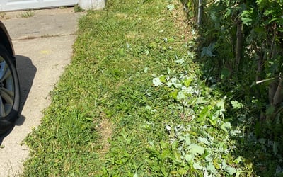 Photo of Andrew R.'s yard after getting landscaping in Newark, OH