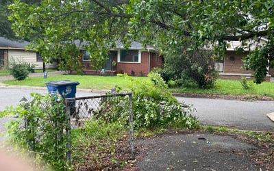 Photo of Mark W.'s yard after getting landscaping in North Little Rock, AR