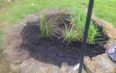 Photo of Penelope B.'s yard after getting landscaping in Hermitage, TN