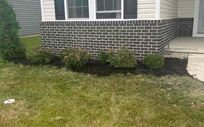 Photo of Qi J.'s yard after getting landscaping in North Ridgeville, OH