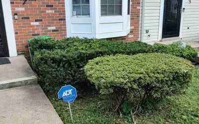 Photo of Tabitha R.'s yard after getting tree care in Gainesville, VA