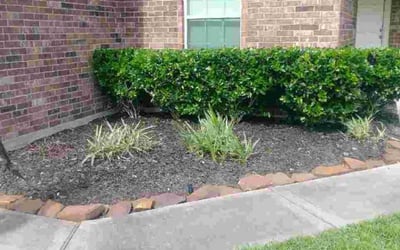 Photo of Stephanie L.'s yard after getting landscaping in Stowell, TX