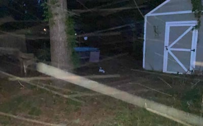 Photo of Nikolette B.'s yard after getting landscaping in Summerville, SC