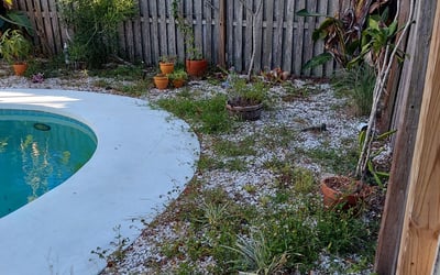 Photo of Mary M.'s yard after getting landscaping in Ozona, FL