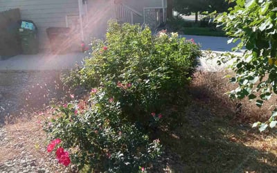 Photo of Jonathan S.'s yard after getting landscaping in Calhan, CO
