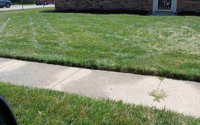 Photo of Brandon B.'s yard after getting tree care in Fairborn, OH
