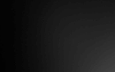 Photo of Reza R.'s yard after getting tree care in Edgewater, FL