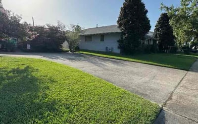 Photo of Jeff B.'s yard after getting landscaping in Metairie, LA