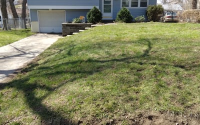 Photo of Sandi P.'s yard after getting landscaping in Mayview, MO