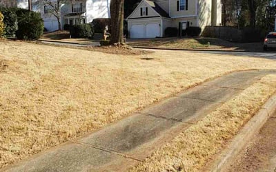 Photo of Michael B.'s yard after getting landscaping in Holly Springs, GA
