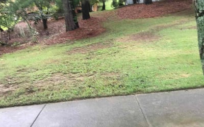 Photo of Leigh S.'s yard after getting landscaping in Louisburg, NC