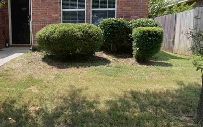 Photo of Craig S.'s yard after getting tree care in Hurst, TX