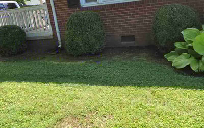 Photo of James B.'s yard after getting landscaping in Siler City, NC