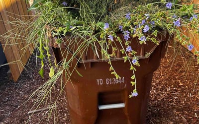 Photo of Angel G.'s yard after getting tree care in Washougal, WA
