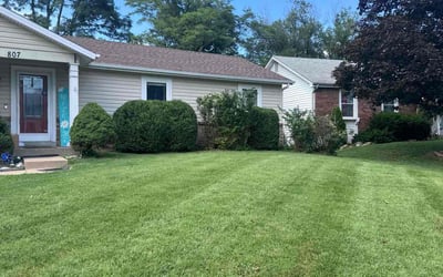 Photo of Eugene E.'s yard after getting tree care in O Fallon, MO
