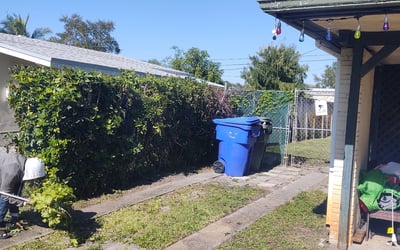 Photo of Kimberly G.'s yard after getting landscaping in Hallandale, FL