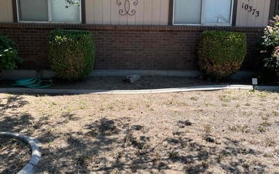 Photo of Chris W.'s yard after getting landscaping in Garden City, ID