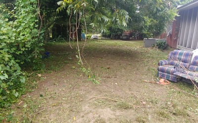 Photo of Olivia A.'s yard after getting landscaping in Ravenel, SC