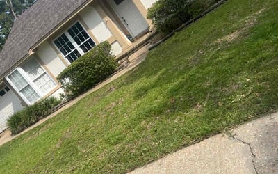 Photo of Ashley P.'s yard after getting landscaping in Gulf Breeze, FL