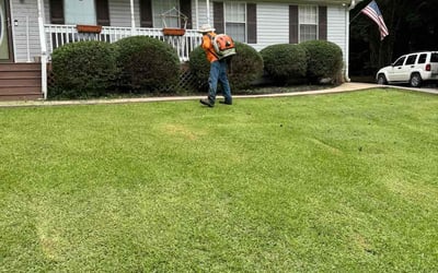 Photo of Chris M.'s yard after getting tree care in Auburn, GA
