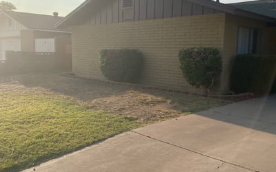 Photo of Crystal C.'s yard after getting landscaping in Waddell, AZ