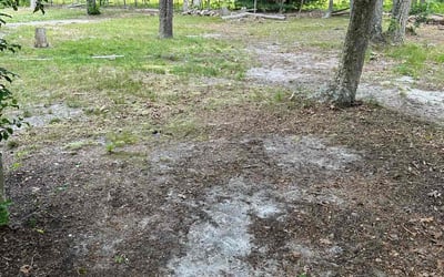 Photo of Aaron L.'s yard after getting landscaping in Sewell, NJ