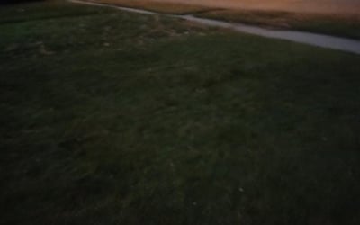 Photo of Belinda B.'s yard after getting landscaping in Jackson, WI