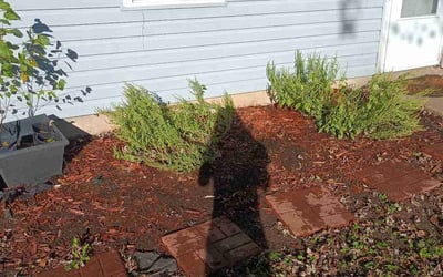 Photo of Becky R.'s yard after getting landscaping in Centralia, MO
