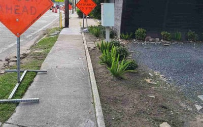 Photo of Chelsea C.'s yard after getting landscaping in Houston, TX