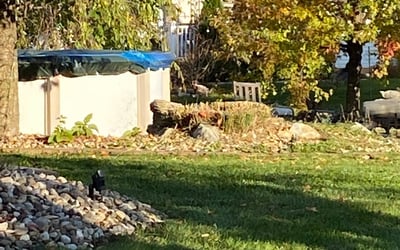 Photo of Jonathan S.'s yard after getting landscaping in Blairstown, NJ