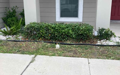 Photo of Bobby R.'s yard after getting landscaping in Taft, TX
