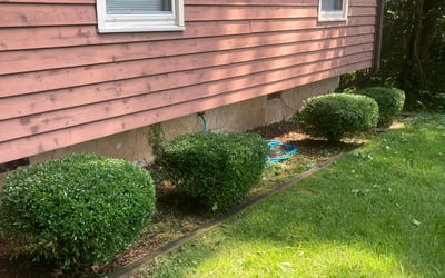 Photo of Vanessa L.'s yard after getting landscaping in New Hill, NC